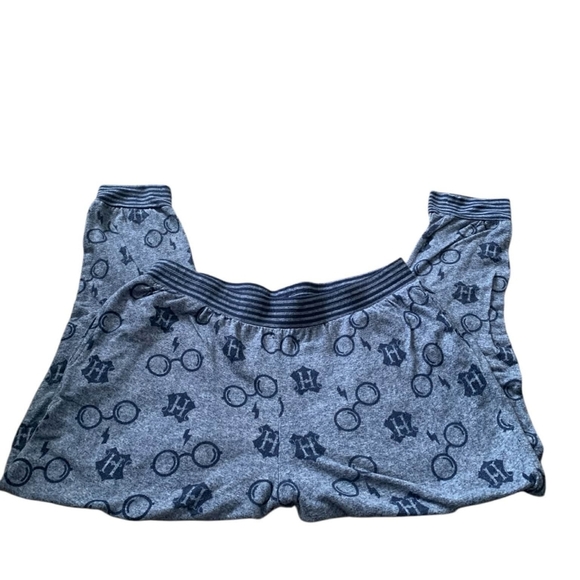 Wizarding World Harry Potter Jogger Pajama Pants L Blue H Glasses - Picture 2 of 7